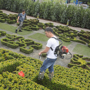 Tondeuse à gazon mini longue portée OEM, légère (30 kg), moteur à essence quatre temps haute puissance, multifonctionnelle, garantie 1 an - Product Image 4