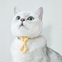 UFBemo – boucle de sécurité personnalisée, ceinture de séparation, cloche, collier pour animaux de compagnie, collier pour chat