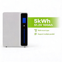 Système de stockage d'énergie domestique mural CAN, batterie au lithium LiFePO4 100Ah intelligente avancée pour usage domestique et solaire