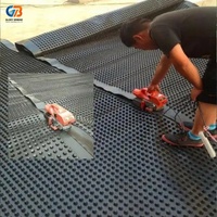 Haute résistance à la compression, sans déformation ni affaissement, même sous une forte pression de la terre. Planche de drainage à rainures en HDPE