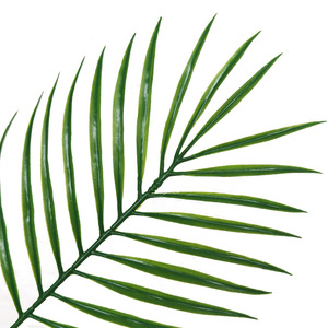 Vente d'usine : Feuilles de palmier en plastique, feuilles de décoration de mariage, feuilles artificielles de Cycas - Product Image 5