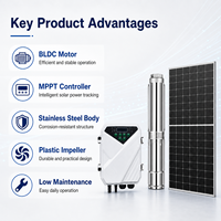 Pompe à eau solaire submersible DC de 4 pouces avec contrôleur MPPT pour l'irrigation agricole en puits profond