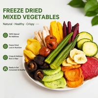 Vente en gros de snacks santé, aliments de loisirs, fruits secs biologiques mélangés et chips de légumes, snacks de fruits surgelés