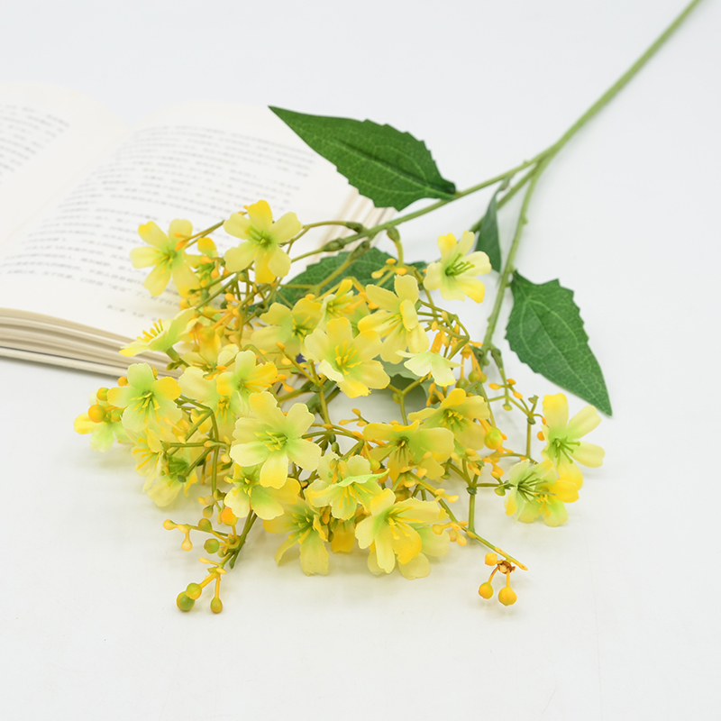 Giallo