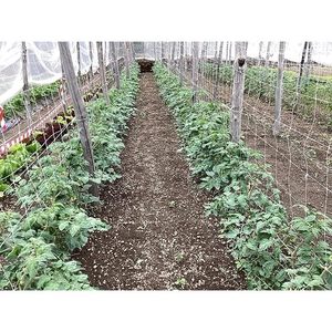 ตาข่ายปีนดาวสีขาวขนาด1.7x10ม. สินค้าเกษตรพลาสติก - Product Image 5