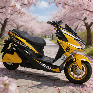 Motocicleta Eléctrica CKD EEC de 12 Pulgadas y 2 Ruedas con Asistencia al Pedaleo, Potente, para Adultos, 2700W, 85km/h, Fabricada en China - Product Image 3