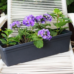 <strong>Windowsill</strong> Box Pot 19" 23" Inch 50 60cm Outdoor Rectangle Window Flower Plastic Hanging Herbs Rectangular Pots Balcony Planter R - Product Image 1
