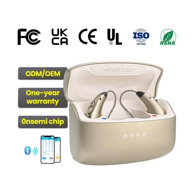 RIC Hearing Aid Digital Receiver in Canal Medical Hearing Device for Professional Audiology
