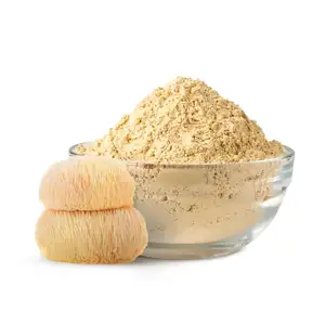 Factory Price Hericium Erinaceus Extract Lions Mane Powder Lion's Mane Mushroom Extract Powder 10:1 Polysaccharides 10%