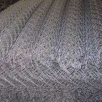 Clôture en fil de fer galvanisé pour poulailler, maille hexagonale de 1/2'' 3/4'', avec soudure et pliage