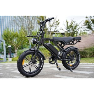 Bicicleta Eléctrica Urbana Zerogo, Fatbike Mini V20, Cuadro de Bicicleta Eléctrica para Adultos, Ligera, V20 Pro, Motor de 250w, V20 Pro 2 - Product Image 2