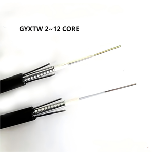 <span class=keywords><strong>Câble</strong></span> à fibre optique blindé extérieur GYXTW <span class=keywords><strong>2</strong></span> cœurs, monomode G652D, <span class=keywords><strong>renforcé</strong></span> par fil d'acier, légèrement blindé - Product Image 1
