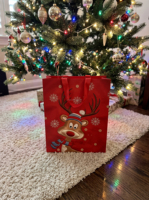 Sacs cadeaux en papier de Noël en stock, laminés mats avec poignées en corde de polyester pour cadeaux de fêtes et emballages saisonniers