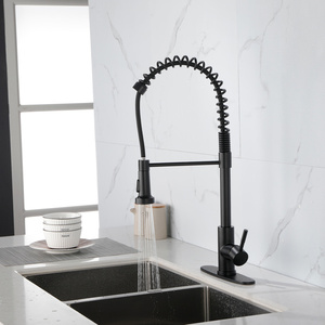 Robinet de cuisine DB en laiton massif, monocommande, noir mat, à poser sur comptoir, avec douchette extractible à ressort moderne, débit minimum de 3,0 gallons - Product Image 1