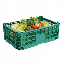 Caisse en plastique pliable robuste, empilable et pliable, pour la logistique des fruits et légumes