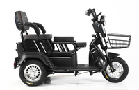 Tricycle électrique à trois roues de haute qualité, durable, de fabrication chinoise, nouveau modèle, 600W, 800W, moteur 1000W, vente en gros