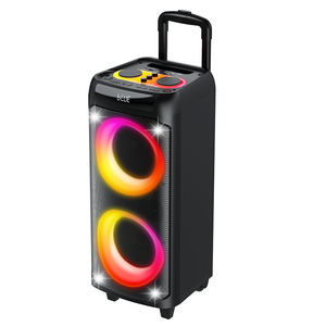 ลำโพงคาราโอเกะแบบพกพาพร้อมไฟ RGB กำลังขับสูง 1000 วัตต์ เชื่อมต่อบลูทูธ พร้อมไมโครโฟนไร้สาย 2 ตัว - Product Image 6