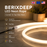BERIXDEEP Ruban Néon Courbé 16 à Vision Supérieure DC24V 5&10W/M Étanche IP67 270 Degrés en Silicone Pliable pour Intérieur/Extérieur