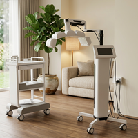 Luz LED PDT de 4 Colores a Precio de Fábrica, Terapia Facial con Fotones LED, Diodo PDT Seguro para la Piel, Luz de Bajo Nivel
