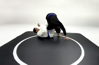 Tapis d'entraînement commercial en PVC sans revêtement - Tapis de combat enroulable pour lutte, zone de cible, mousse ferme, 4x4m, certifié CE, tailles personnalisables