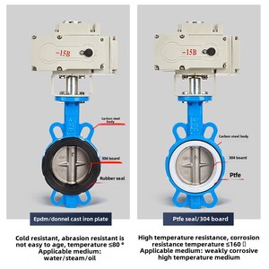 Commande motorisée de type actionné pour le traitement de l'eau et le CVC - Product Image 3