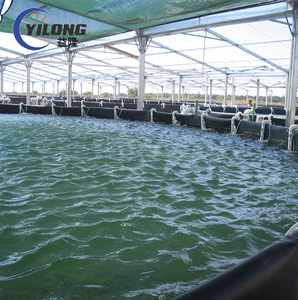 Filets de cage de réservoir en acier galvanisé de taille personnalisée pour la <span class=keywords><strong>pisciculture</strong></span> - Product Image 4