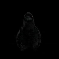Peluche réaliste de corbeau américain, jouet en peluche doux pour enfants et amoureux des oiseaux