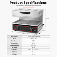 Grill électrique professionnel à salamandre, hauteur réglable, en acier inoxydable, 2800W, pour steak, pizza, gratin