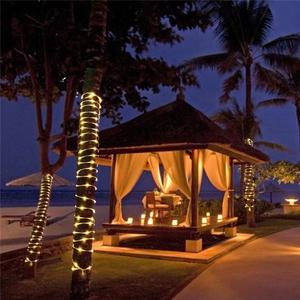 Waterproof <b>Solar</b> LED <b>Fairy</b> <b>Light</b> String Remote Control Adjustable for <b>Garden</b> Outdoor Courtyard Christmas Tree Wedding Holiday - Product Image 2