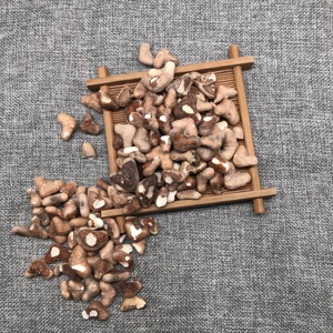 MD24 Ampoules Caltrop comestibles de haute qualité pour racines de trapa bispinosa à base d'eau séchée et de décortiquées pures pour la nourriture - Product Image 3