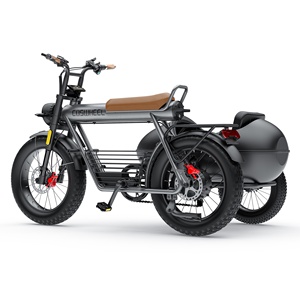 COSWHEEL CT20S/CT20 1000W Fat Tire Triciclo eléctrico <span class=keywords><strong>Sidecar</strong></span> <span class=keywords><strong>E</strong></span>-<span class=keywords><strong>bike</strong></span> Carry Pets Three Wheel Pedal Assist 1500W Road Ebike <span class=keywords><strong>Sidecar</strong></span> - Product Image 1