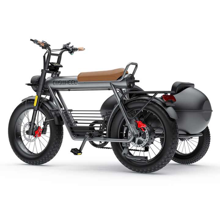 COSWHEEL CT20S E-Bike with Sidecar - 1500W Power & 20