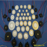 Piezo Multilayer Actuator