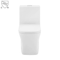 WC en céramique noir mat Cupc, sanitaire en porcelaine, à poser au sol, cuvette de toilette, salle de bain, siphon Tornado, toilette monobloc en céramique