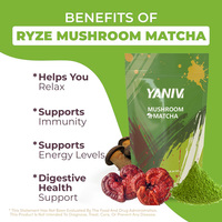 Supplément à base de plantes OEM ODM boisson aux champignons Matcha fournisseur de poudre de Matcha de qualité alimentaire approuvé GMP pour adultes