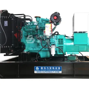 10kw-2000kw Gas Generator Open Type Chinese Kwaliteit 50Hz