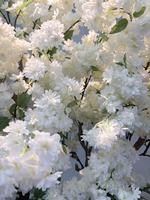 Arbre artificiel en fleurs de cerisier en soie pour la décoration de la maison et les mariages (vente en gros) |   Logo personnalisé Branche de fleur
