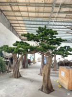 Branches de pin artificielles Grandes plantes en pot Grands pins Bonsaïs Artificiels Cèdre Pin pour la décoration intérieure