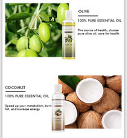 Pabrik minyak kulit jumlah besar 100% minyak Argan ORGANIK MURNI biji hitam Vitamin C Rosehip untuk tubuh, perawatan rambut