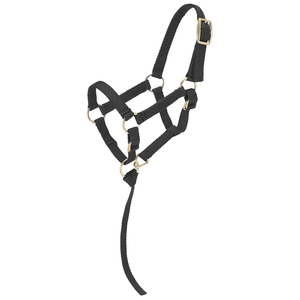Halter de equitación inglés de alta calidad para polo, equipo de equitación con narquileras acolchadas de tela, para espectáculos y uso multiusos, OEM al por mayor - Product Image 1