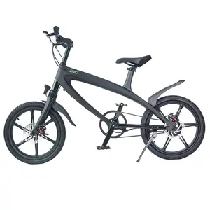 Vélo électrique 36V 240W, bicyclette à assistance pour pédales, populaire en Europe, chine, livraison gratuite
