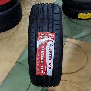 Neumáticos para Automóvil 255/55R19 y Ruedas - Product Image 1