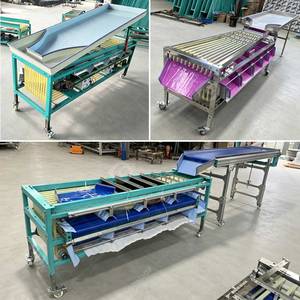 Machine de tri et de calibrage de taille pour tomates cerises aigres industrielles, à base de pesée, à vendre - Product Image 2