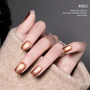 R S Nail 9ml Caramel Brun Café Chat Gel Magnétique Nail Supplies Automne Eau Lumière Cat Eye Gel Vernis Nail Art Vernis - Product Image 5