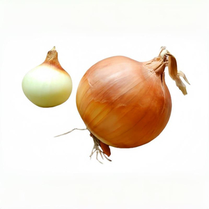 Cebollas Amarillas Frescas Directas de Fábrica de Shandong, Calidad Premium, Nueva Cosecha, Tamaños de 3-5 cm, Bolsa de Malla de 10 kg/20 kg, Exportación a Granel - Product Image 5
