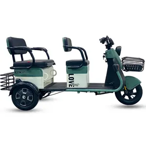 Tricycle électrique pour passagers Trike cargo avec deux places Nouvelle moto Loisirs à la mode Trois roues Adulte Moto De 3 Ruedas