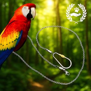 Energinox ringan tahan lama aman Hypoallergenic Premium Titanium hewan peliharaan burung bayan tali burung kakatua kaki rantai pergelangan kaki - Product Image 1