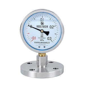 เกจวัดแรงดันไดอะแฟรมซูโจวเซียนเซิง รุ่น YNTP100 ขนาด 100 มม. -0.1 ถึง 0.3MPa เกจวัดแรงดันสุญญากาศแบบทนแรงกระแทก - Product Image 1