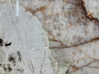 Dalles de pierre en quartzite Patagonia Pandora blanc translucide naturel de luxe pour comptoir de réception, dessus de table, carreaux muraux