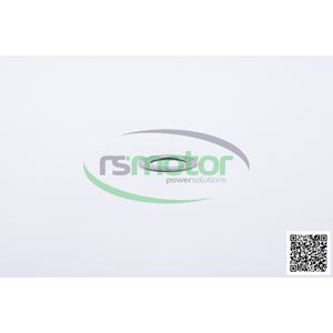 Jenbacher RS-359913 <b>Cylinder</b> <b>Head</b> Disc Product - Product Image 1